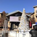 41190-01-07-360 | 여주 가볼만한곳 프리미엄 아울렛 할인 구찌 폴로 프라다 패딩 대기 후기