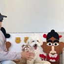 도그 앤 조이 이미지