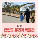 티라노 청소년 오락실 | 태안 아이와 가볼만한 곳 안면도 쥬라기 박물관 방문 후기 신기한 공룡이야기