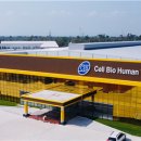 셀바이오 이미지