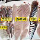 선명회센타 이미지