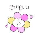 청어람참치