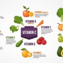비타민충전소 | 비타민 추천, 바쁜 일상에 활력을 더해주는 에너지 충전소