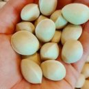 유찬이네 이미지