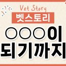 동물치과병원메이 이미지