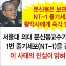 서울대문구 이미지