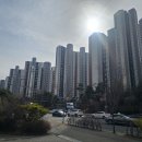 옥길자이365공인중개사사무소 이미지