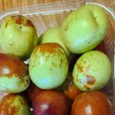 남일농장 이미지