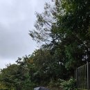 영인산 수목원 산마루 화장실 | 영인산휴양림 오토캠핑장 B구역에서 아이와캠핑 1박2일 (B3번데크)