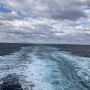 다애식당 이미지