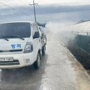 오리농장 이미지