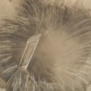 영화와 역사 나들이 이미지