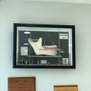 해든치과의원 이미지