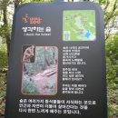 9월산행-서울대공원 산림욕장 이미지