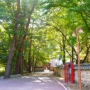 세심정공원내 이미지