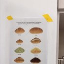 서울-언양-언양03 | 맛집을 찾아서...(스파이 있음) 푸주옥, 시오사쿠,언양닭칼국수,엄지손칼국수, 안나보아트, 오베르캄프...