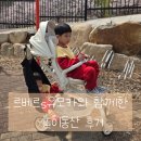 동산디자인 | 르베르S 유모카 크림 화이트 놀이동산 후기｜유모차 대신 꼭 필요한 이유
