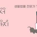 정율법무사사무소