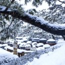 서일 농장 이미지