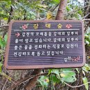 월평공원 습지길 | 대전 걷고 싶은 산책 길 월평공원 갑천 습지길