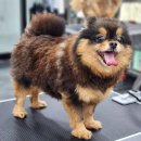 모량농장 이미지