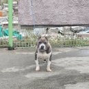 대림카 정비 이미지