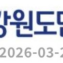 강원도민일보
