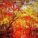 한그루 나무 이미지