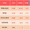 오아시스디앤디 이미지