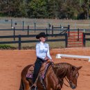 대치생활복싱 | 조지아대학교(UGA) 승마 경기(Equestrian) 직관 후기