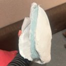 서초 피부관리 약손명가 사당점 연예인관리 13회차 후기 (내돈내산, 석고 및 사진 비교)