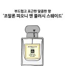 레드피오니 이미지