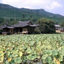 경주문화재해설 이미지