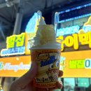 한스애견 | [강원도 속초] 속초썬라이즈호텔 🏨 가성비 좋은 애견동반 숙소 후기 l 한스키친 속초중앙시장 회 횟집 추천