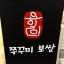 337쭈꾸미 이미지