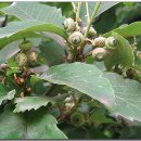 상수리공원 이미지