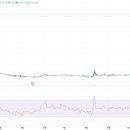 와이즈인터내셔널