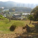 신강·신경식 부자 묘역 | 한국 자생 풍수 간산기 시리즈 2410(조선시대)영의정 신숙주 묘역내 비석 없는 묘