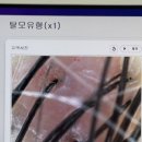 우아살롱 헤어&두피