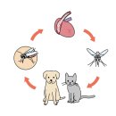 행복한산책 동물병원 이미지