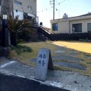 제주마중in판포 이미지