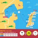 해피하우스 | [경남/거제여행] 소노캄 거제 일출, 동백꽃과 매화가 가득했던 지심도 +지심도 배편,예약방법,주차장