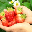 구름들천 이미지