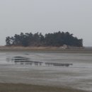 화태초돌산중화태분교장 네이버블로그