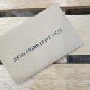 사파리사진관청주점 이미지