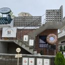 *김해 봉리단길 브런치카페* 너무 만족스러웠던 봉황동 신상카페 도넛맛집 크레몬트 솔직후기!