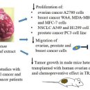 항암과일(케랜베리, 석류, 딸기) - ellagic acid의 항암효과 이미지