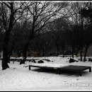 관음사(야영장) 이미지