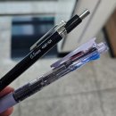 학돌초등학교 | [11월 일상] 얘야, 너는 지금 흔들리고 있구나