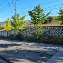 새영천공인중개사사무소 이미지